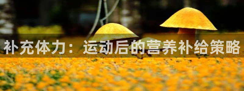 球速体育：补充体力：运动后的营养补给策略