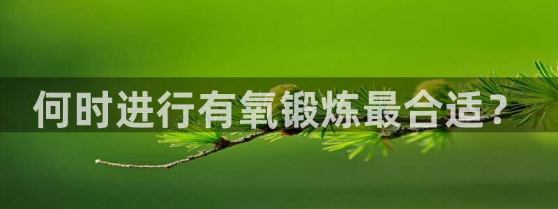 球速体育：何时进行有氧锻炼最合适？