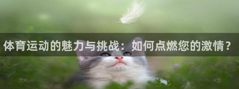 球速体育：体育运动的魅力与挑战：如何点燃您的激情？
