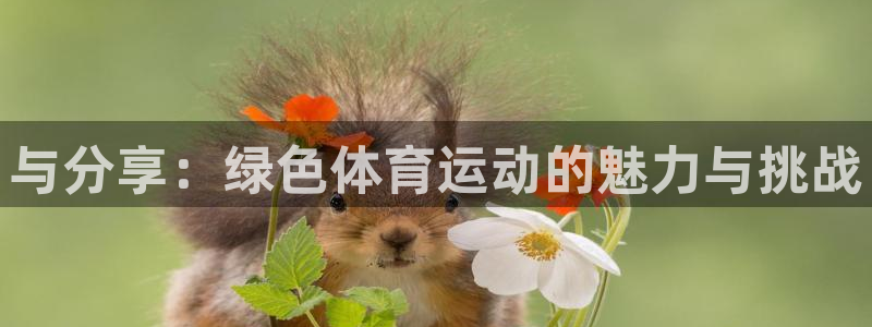 球速体育：与分享：绿色体育运动的魅力与挑战