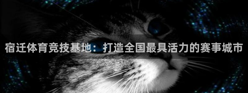 球速体育：宿迁体育竞技基地：打造全国最具活力的赛事城市