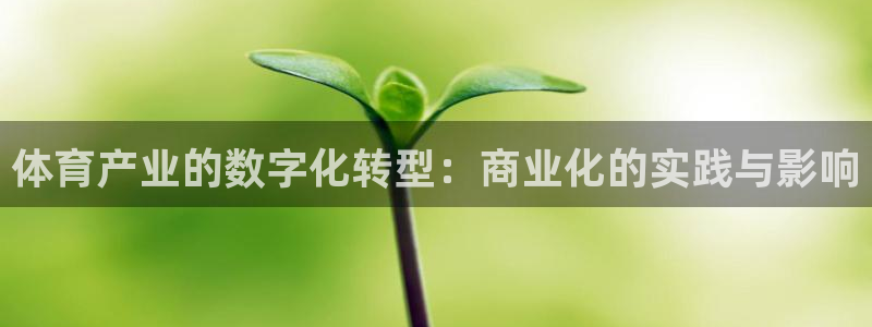 球速体育：体育产业的数字化转型：商业化的实践与影响