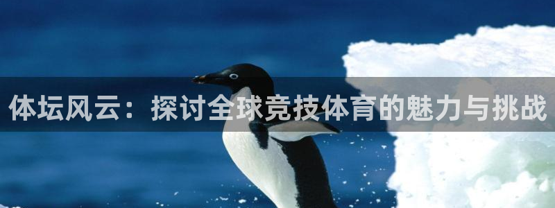球速体育