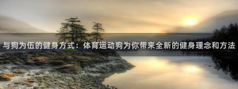 球速体育