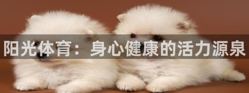 球速体育