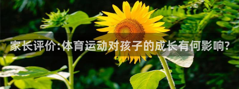球速体育