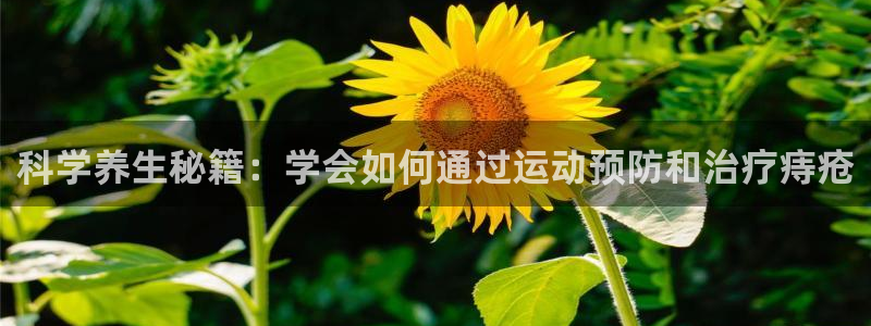 球速体育