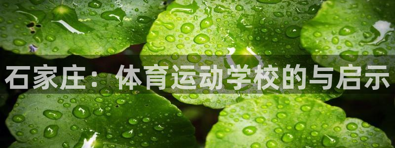 球速体育：石家庄：体育运动学校的与启示