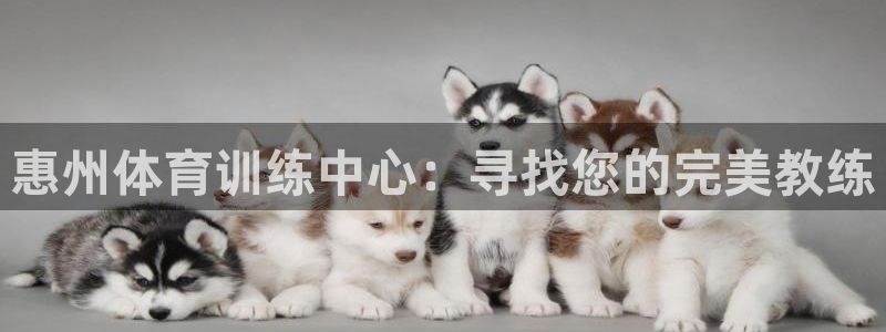 球速体育：惠州体育训练中心：寻找您的完美教练