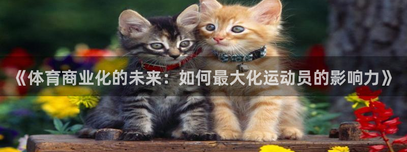 球速体育：《体育商业化的未来：如何最大化运动员的影响力》