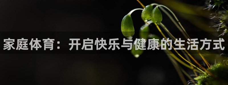 球速体育：家庭体育：开启快乐与健康的生活方式